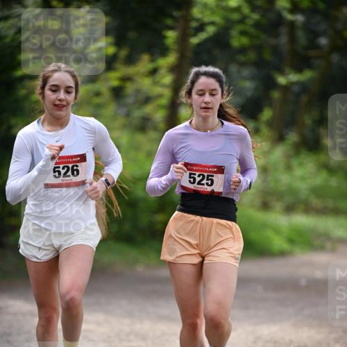13.04.2025 - Hammer Lauf Dr. Thomas Lammeyer http://msf.ph/oto/7656876 13.04.2025 10:41:06 Laufen 526, 15, 525 meine-sportfotos.de