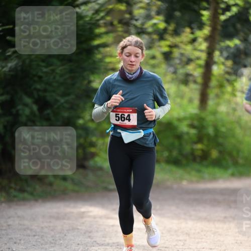 13.04.2025 - Hammer Lauf Dr. Thomas Lammeyer http://msf.ph/oto/7656993 13.04.2025 10:41:30 Laufen 15, 564 meine-sportfotos.de