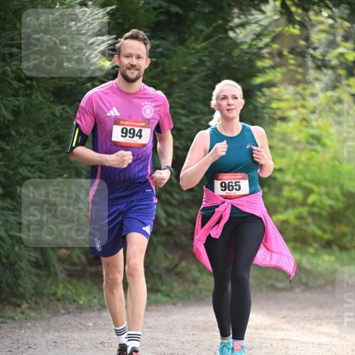 13.04.2025 - Hammer Lauf Dr. Thomas Lammeyer http://msf.ph/oto/7657168 13.04.2025 10:41:58 Laufen 15, 994, 15, 965 meine-sportfotos.de