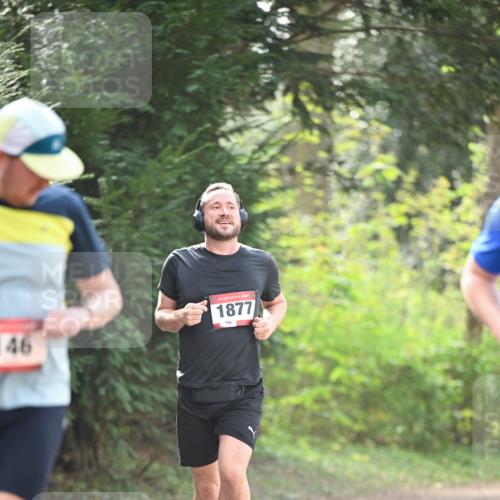 13.04.2025 - Hammer Lauf Dr. Thomas Lammeyer http://msf.ph/oto/7657183 13.04.2025 10:42:05 Laufen 146, 15, 1877 meine-sportfotos.de