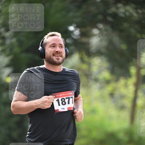 13.04.2025 - Hammer Lauf Dr. Thomas Lammeyer http://msf.ph/oto/7657202 13.04.2025 10:42:08 Laufen 15, 1877, 158 meine-sportfotos.de