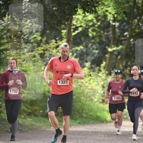 13.04.2025 - Hammer Lauf Dr. Thomas Lammeyer http://msf.ph/oto/7657355 13.04.2025 10:42:30 Laufen 1792, 1323, 1183, 1342 meine-sportfotos.de