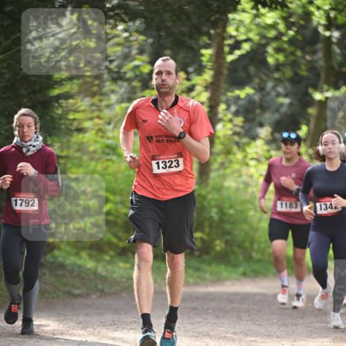 13.04.2025 - Hammer Lauf Dr. Thomas Lammeyer http://msf.ph/oto/7657367 13.04.2025 10:42:31 Laufen 1792, 1323, 134 meine-sportfotos.de