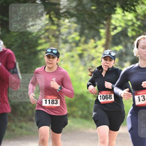 13.04.2025 - Hammer Lauf Dr. Thomas Lammeyer http://msf.ph/oto/7657391 13.04.2025 10:42:35 Laufen 15, 1183, 1068, 13 meine-sportfotos.de