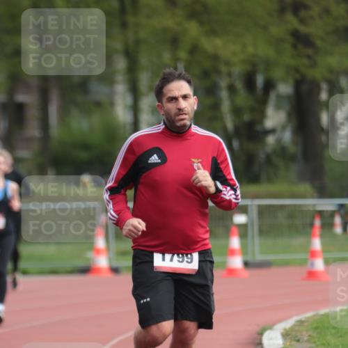 13.04.2025 - Hammer Lauf A. Gomolzig http://msf.ph/oto/7657473 13.04.2025 10:13:39 Ziel 499, 926, 1799 meine-sportfotos.de