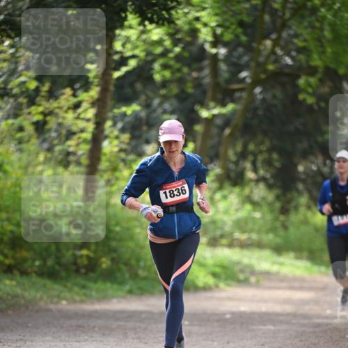 13.04.2025 - Hammer Lauf Dr. Thomas Lammeyer http://msf.ph/oto/7657518 13.04.2025 10:43:01 Laufen 1836 meine-sportfotos.de