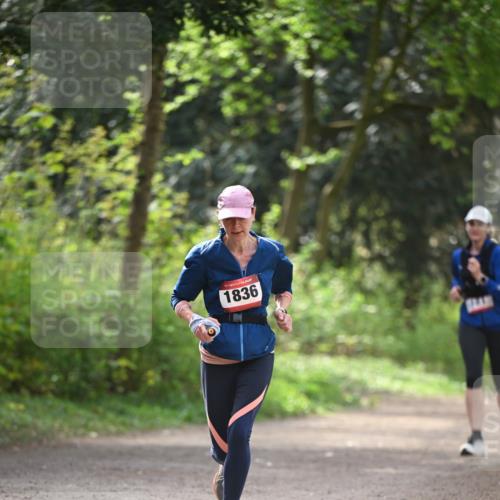 13.04.2025 - Hammer Lauf Dr. Thomas Lammeyer http://msf.ph/oto/7657519 13.04.2025 10:43:01 Laufen 1836 meine-sportfotos.de