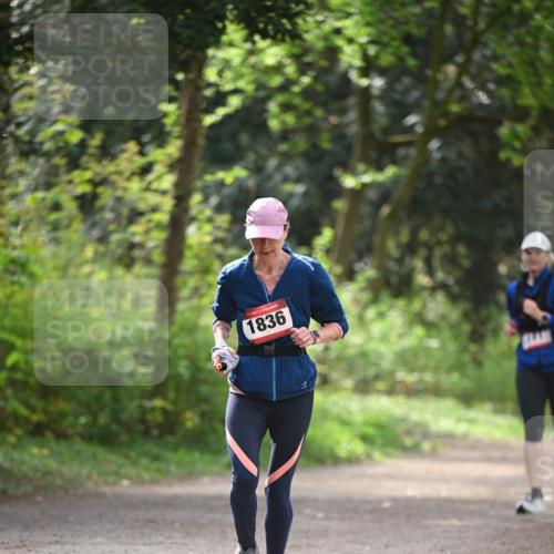 13.04.2025 - Hammer Lauf Dr. Thomas Lammeyer http://msf.ph/oto/7657521 13.04.2025 10:43:01 Laufen 1836 meine-sportfotos.de
