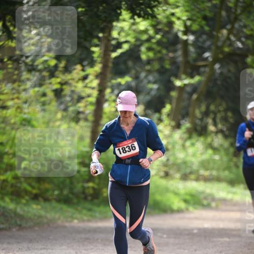 13.04.2025 - Hammer Lauf Dr. Thomas Lammeyer http://msf.ph/oto/7657525 13.04.2025 10:43:01 Laufen 1836 meine-sportfotos.de