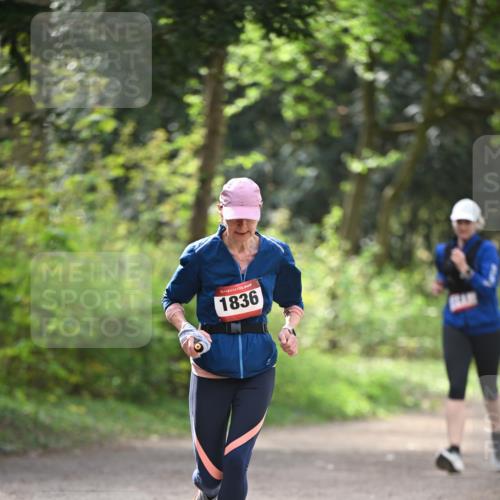 13.04.2025 - Hammer Lauf Dr. Thomas Lammeyer http://msf.ph/oto/7657530 13.04.2025 10:43:02 Laufen 15, 1836 meine-sportfotos.de