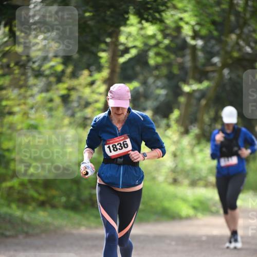 13.04.2025 - Hammer Lauf Dr. Thomas Lammeyer http://msf.ph/oto/7657533 13.04.2025 10:43:02 Laufen 1836 meine-sportfotos.de