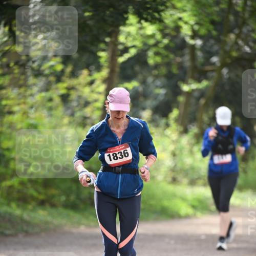 13.04.2025 - Hammer Lauf Dr. Thomas Lammeyer http://msf.ph/oto/7657535 13.04.2025 10:43:02 Laufen 1836 meine-sportfotos.de