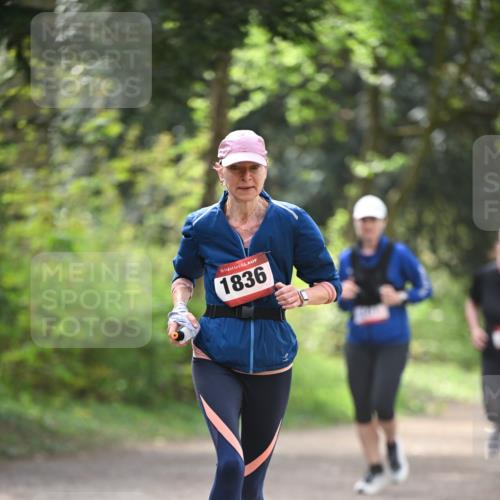 13.04.2025 - Hammer Lauf Dr. Thomas Lammeyer http://msf.ph/oto/7657543 13.04.2025 10:43:03 Laufen 15, 1836 meine-sportfotos.de