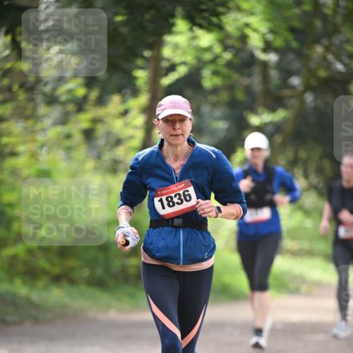 13.04.2025 - Hammer Lauf Dr. Thomas Lammeyer http://msf.ph/oto/7657545 13.04.2025 10:43:03 Laufen 15, 1836 meine-sportfotos.de