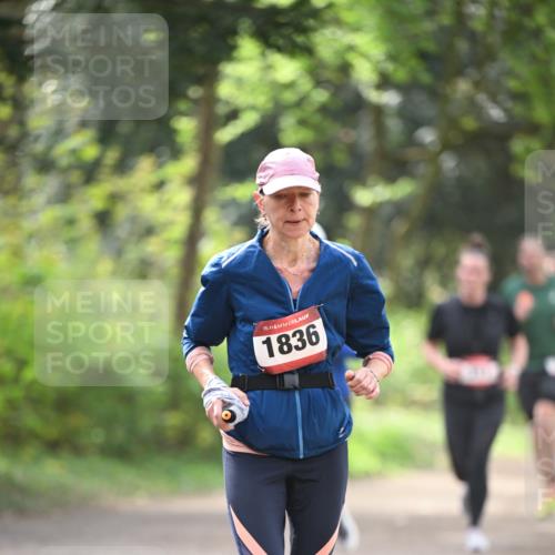 13.04.2025 - Hammer Lauf Dr. Thomas Lammeyer http://msf.ph/oto/7657553 13.04.2025 10:43:03 Laufen 15, 1836 meine-sportfotos.de
