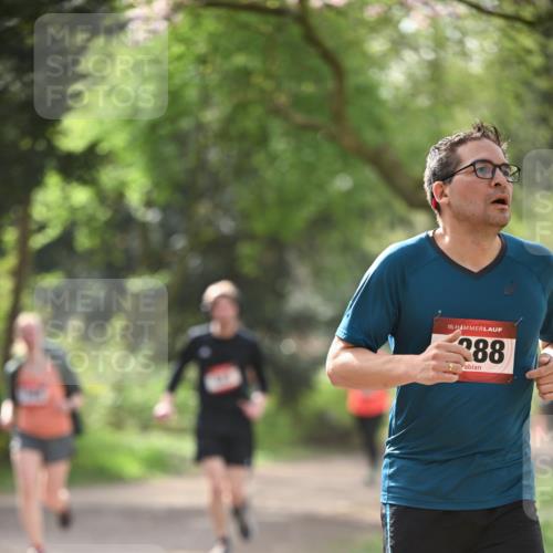 13.04.2025 - Hammer Lauf Dr. Thomas Lammeyer http://msf.ph/oto/7657624 13.04.2025 10:43:16 Laufen 15, 288 meine-sportfotos.de