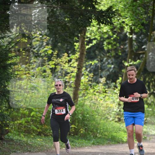 13.04.2025 - Hammer Lauf Dr. Thomas Lammeyer http://msf.ph/oto/7657735 13.04.2025 10:43:48 Laufen 323, 010 meine-sportfotos.de