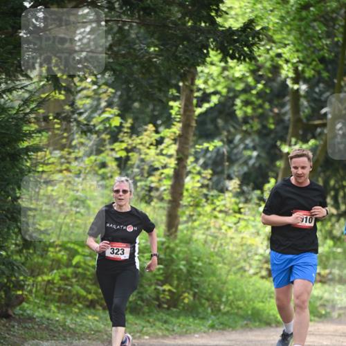 13.04.2025 - Hammer Lauf Dr. Thomas Lammeyer http://msf.ph/oto/7657739 13.04.2025 10:43:49 Laufen 323, 10 meine-sportfotos.de