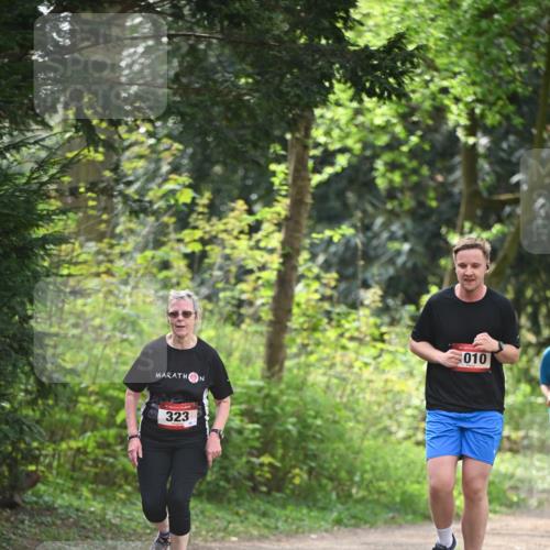 13.04.2025 - Hammer Lauf Dr. Thomas Lammeyer http://msf.ph/oto/7657741 13.04.2025 10:43:49 Laufen 323, 010 meine-sportfotos.de