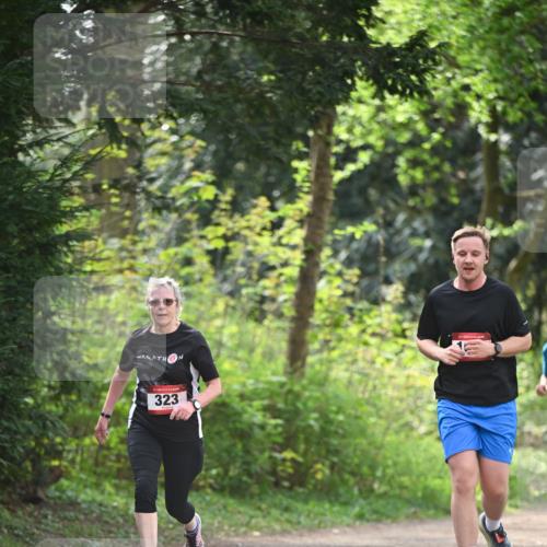 13.04.2025 - Hammer Lauf Dr. Thomas Lammeyer http://msf.ph/oto/7657745 13.04.2025 10:43:49 Laufen 323 meine-sportfotos.de