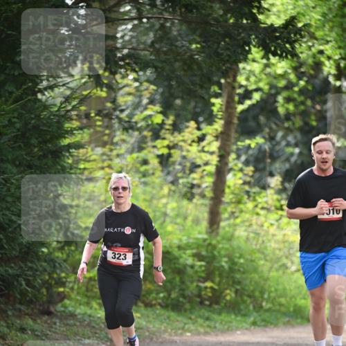 13.04.2025 - Hammer Lauf Dr. Thomas Lammeyer http://msf.ph/oto/7657747 13.04.2025 10:43:49 Laufen 010, 323 meine-sportfotos.de