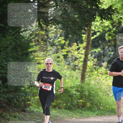 13.04.2025 - Hammer Lauf Dr. Thomas Lammeyer http://msf.ph/oto/7657749 13.04.2025 10:43:49 Laufen 323 meine-sportfotos.de