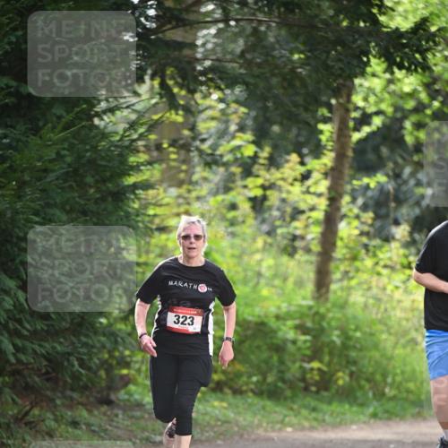 13.04.2025 - Hammer Lauf Dr. Thomas Lammeyer http://msf.ph/oto/7657751 13.04.2025 10:43:49 Laufen 323 meine-sportfotos.de