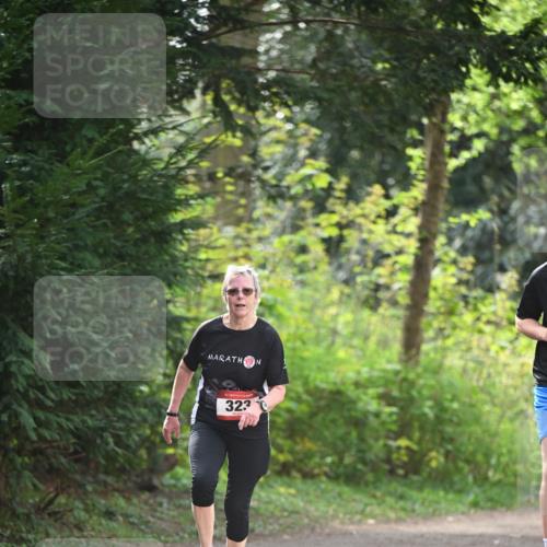 13.04.2025 - Hammer Lauf Dr. Thomas Lammeyer http://msf.ph/oto/7657753 13.04.2025 10:43:50 Laufen 323 meine-sportfotos.de