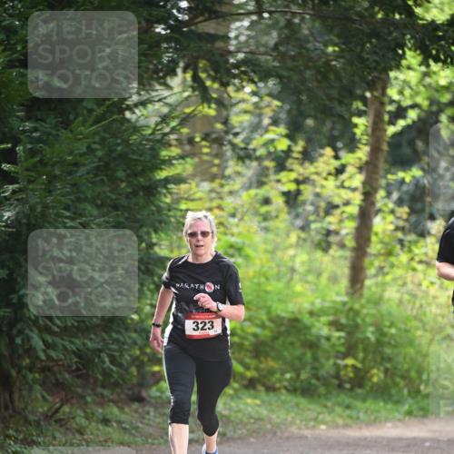 13.04.2025 - Hammer Lauf Dr. Thomas Lammeyer http://msf.ph/oto/7657754 13.04.2025 10:43:50 Laufen 15, 323 meine-sportfotos.de