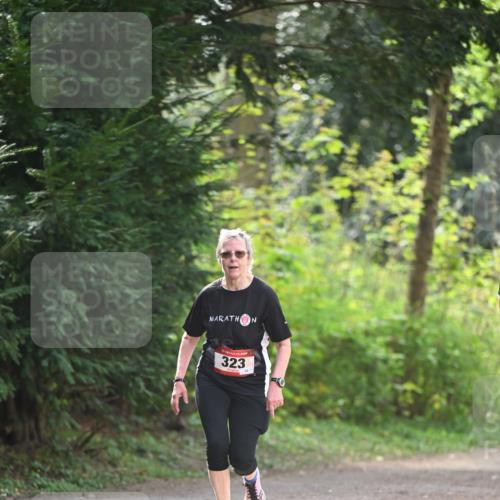 13.04.2025 - Hammer Lauf Dr. Thomas Lammeyer http://msf.ph/oto/7657757 13.04.2025 10:43:50 Laufen 323 meine-sportfotos.de