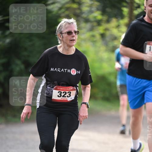 13.04.2025 - Hammer Lauf Dr. Thomas Lammeyer http://msf.ph/oto/7657780 13.04.2025 10:43:53 Laufen 15, 323, 32, 1 meine-sportfotos.de