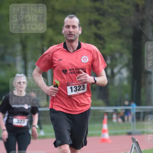 13.04.2025 - Hammer Lauf A. Gomolzig http://msf.ph/oto/7657821 13.04.2025 10:15:42 Ziel 209, 323, 1068, 1183, 1223, 1224, 1323 meine-sportfotos.de