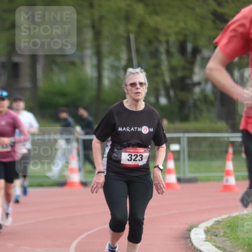 13.04.2025 - Hammer Lauf A. Gomolzig http://msf.ph/oto/7657823 13.04.2025 10:15:43 Ziel 110, 209, 323, 1068, 1183, 1223, 1224, 1323 meine-sportfotos.de