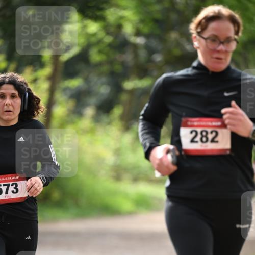 13.04.2025 - Hammer Lauf Dr. Thomas Lammeyer http://msf.ph/oto/7657844 13.04.2025 10:44:16 Laufen 573, 282 meine-sportfotos.de