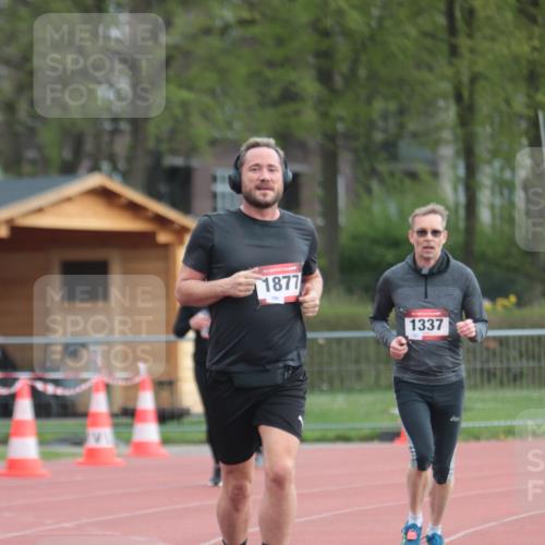 13.04.2025 - Hammer Lauf A. Gomolzig http://msf.ph/oto/7657866 13.04.2025 10:15:57 Ziel 282, 1010, 1158, 1337, 1877 meine-sportfotos.de