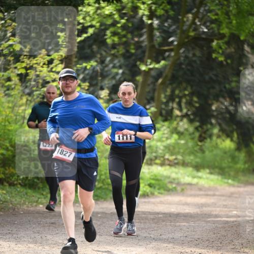 13.04.2025 - Hammer Lauf Dr. Thomas Lammeyer http://msf.ph/oto/7657921 13.04.2025 10:44:51 Laufen 1223, 1827, 1111 meine-sportfotos.de