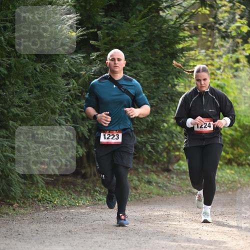 13.04.2025 - Hammer Lauf Dr. Thomas Lammeyer http://msf.ph/oto/7657940 13.04.2025 10:44:55 Laufen 1224, 1223 meine-sportfotos.de