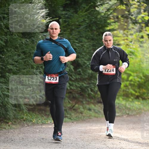 13.04.2025 - Hammer Lauf Dr. Thomas Lammeyer http://msf.ph/oto/7657944 13.04.2025 10:44:56 Laufen 1223, 1224 meine-sportfotos.de