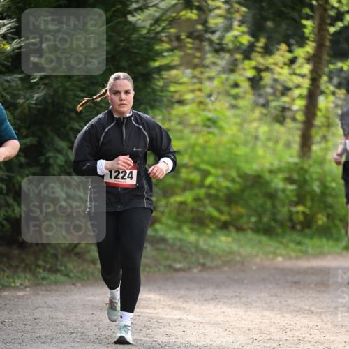 13.04.2025 - Hammer Lauf Dr. Thomas Lammeyer http://msf.ph/oto/7657948 13.04.2025 10:44:57 Laufen 1224 meine-sportfotos.de