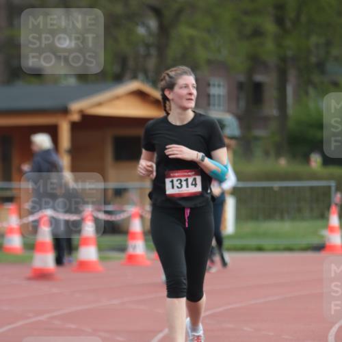 13.04.2025 - Hammer Lauf A. Gomolzig http://msf.ph/oto/7657952 13.04.2025 10:16:13 Ziel 725, 1076, 1314 meine-sportfotos.de