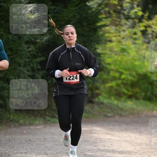 13.04.2025 - Hammer Lauf Dr. Thomas Lammeyer http://msf.ph/oto/7657959 13.04.2025 10:44:57 Laufen 224 meine-sportfotos.de
