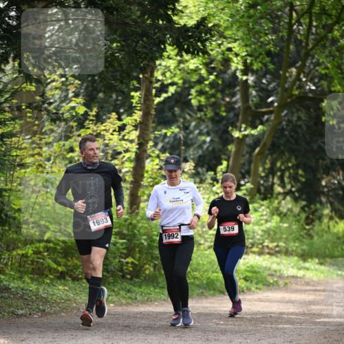 13.04.2025 - Hammer Lauf Dr. Thomas Lammeyer http://msf.ph/oto/7658112 13.04.2025 10:45:24 Laufen 1993, 1992, 539 meine-sportfotos.de
