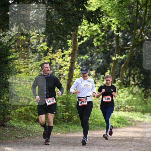 13.04.2025 - Hammer Lauf Dr. Thomas Lammeyer http://msf.ph/oto/7658114 13.04.2025 10:45:24 Laufen 1993, 1992, 539 meine-sportfotos.de