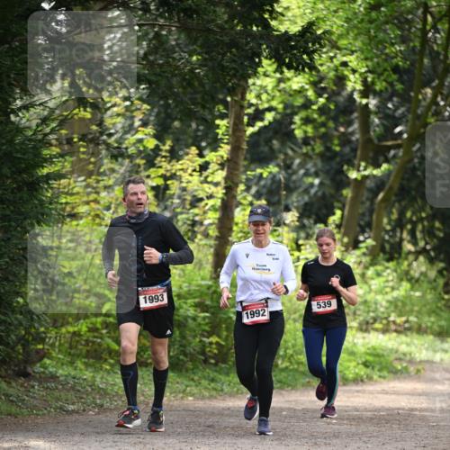 13.04.2025 - Hammer Lauf Dr. Thomas Lammeyer http://msf.ph/oto/7658115 13.04.2025 10:45:24 Laufen 1993, 1992, 539 meine-sportfotos.de
