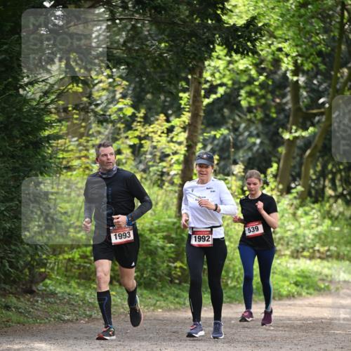 13.04.2025 - Hammer Lauf Dr. Thomas Lammeyer http://msf.ph/oto/7658117 13.04.2025 10:45:24 Laufen 1993, 1992, 539 meine-sportfotos.de