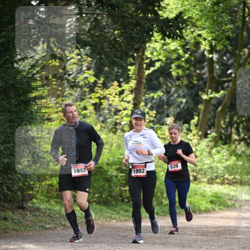 13.04.2025 - Hammer Lauf Dr. Thomas Lammeyer http://msf.ph/oto/7658119 13.04.2025 10:45:24 Laufen 1993, 1992, 539 meine-sportfotos.de