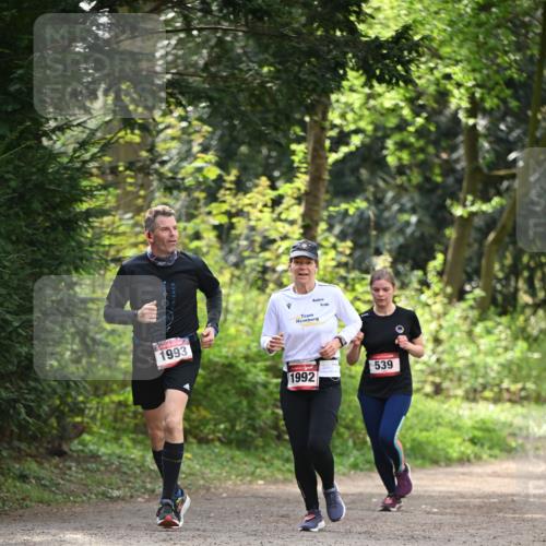 13.04.2025 - Hammer Lauf Dr. Thomas Lammeyer http://msf.ph/oto/7658121 13.04.2025 10:45:24 Laufen 1993, 1992, 539 meine-sportfotos.de