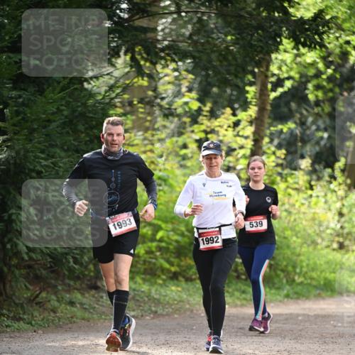 13.04.2025 - Hammer Lauf Dr. Thomas Lammeyer http://msf.ph/oto/7658131 13.04.2025 10:45:25 Laufen 1993, 1992, 539 meine-sportfotos.de