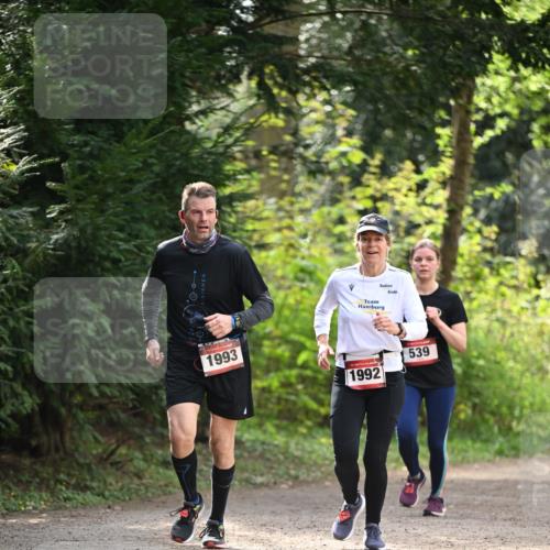 13.04.2025 - Hammer Lauf Dr. Thomas Lammeyer http://msf.ph/oto/7658134 13.04.2025 10:45:25 Laufen 1993, 1992, 539 meine-sportfotos.de
