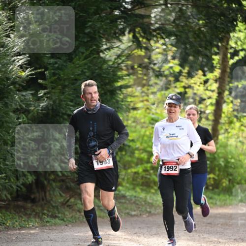 13.04.2025 - Hammer Lauf Dr. Thomas Lammeyer http://msf.ph/oto/7658138 13.04.2025 10:45:26 Laufen 1993, 1992 meine-sportfotos.de
